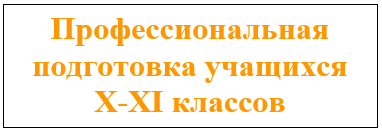 Профессиональная подготовка учащихся X-XI классов